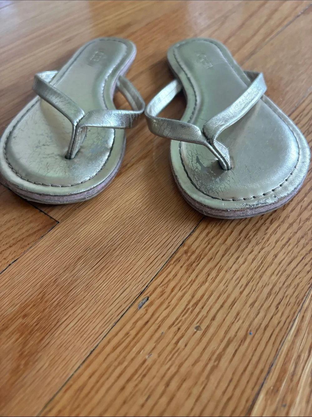J. Crew crew women